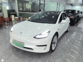 特斯拉 Model 3 2019款 标准续航后驱升级版