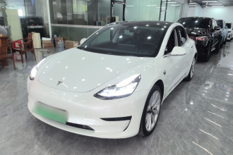 特斯拉 Model 3 2019款 标准续航后驱升级版