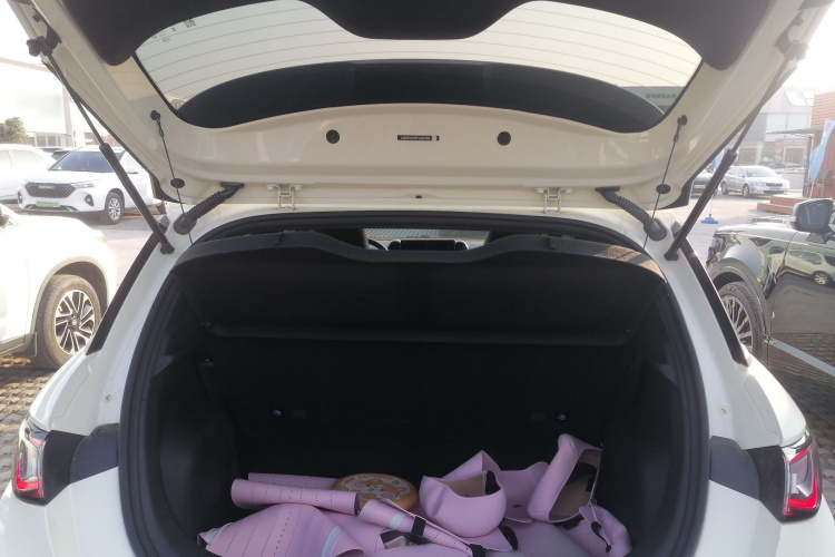 比亚迪 海豚 2023款 420km 时尚版机舱底盘23