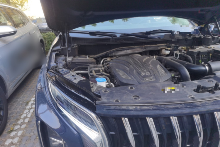 红旗HS7 2023款 2.0T 自动四驱旗畅版 六座局部细节9006