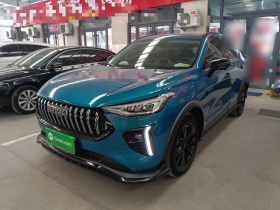 哈弗赤兔 2021款 激擎版 1.5T 黄金兔