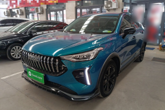 哈弗赤兔 2021款 激擎版 1.5T 黄金兔