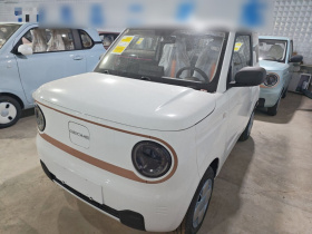吉利银河 2024款 熊猫mini 200km 耐力熊