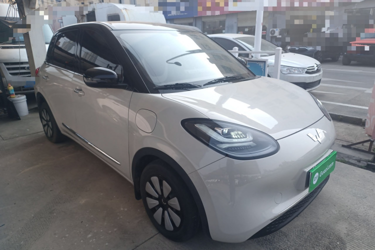 五菱汽车 五菱缤果 2024款 333km 悦享款车身外观6002