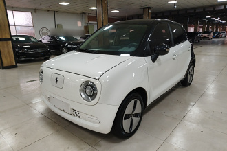 欧拉黑猫 2021款 301km 基础型