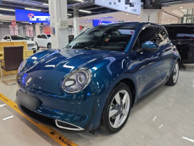 欧拉好猫 2023款 401km标准续航 舒享型 磷酸铁锂