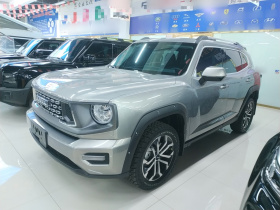 哈弗大狗 PLUS 2023款 2.0T 四驱潮野Plus