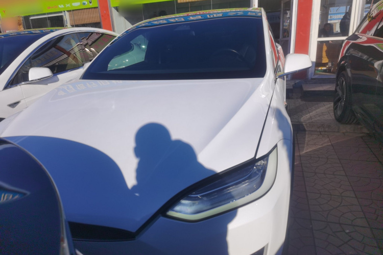 特斯拉 Model X 2019款 Performance 高性能版车身外观2