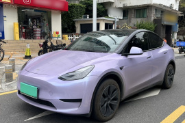 特斯拉 Model Y 2024款 后轮驱动版