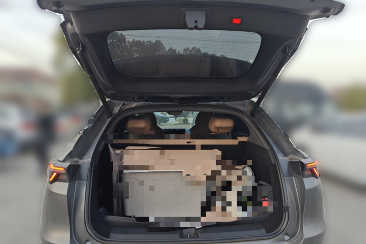 ARCFOX极狐 极狐 阿尔法T5(ARCFOX αT5) 2025款 520 PRO中控内饰23