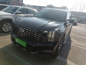 广汽传祺 传祺GS8 2022款 领航系列 2.0TGDI 两驱豪华智联版（七座）