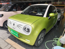 欧拉黑猫 2021款 301km 基础型