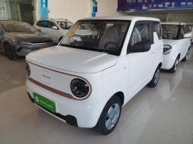 吉利银河 2024款 熊猫mini 200km 耐力熊