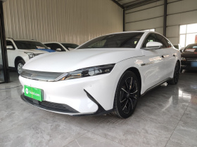 比亚迪 汉 2020款 EV 四驱高性能版旗舰型