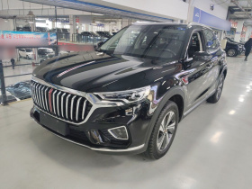 红旗HS5 2019款 2.0T 智联旗享版