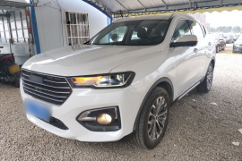 哈弗H6 2019款 蓝标 1.5GDIT 自动豪华智联版