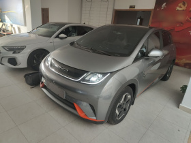 比亚迪 海豚 2021款 405km 时尚版