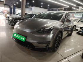 特斯拉 Model Y 2021款 标准续航后驱版