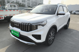 起亚 智跑 2021款 Ace 2.0L 精彩版