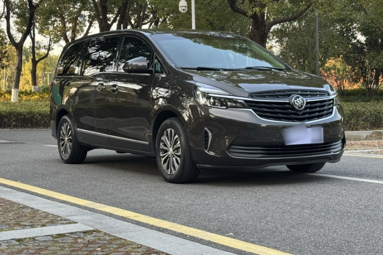 别克GL8 2021款 陆上公务舱 652T 尊贵型车身外观6007