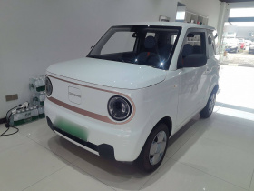 吉利银河 2024款 熊猫mini 200km 耐力熊