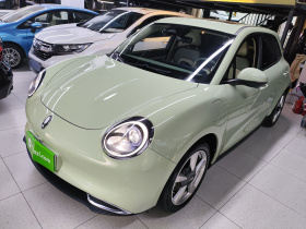 欧拉好猫 2022款 莫兰迪版 400km标准续航 尊贵型 磷酸铁锂