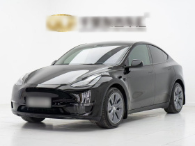特斯拉 Model Y 2021款 标准续航后驱版