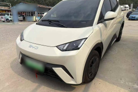 比亚迪 海鸥 2025款 305km 活力版