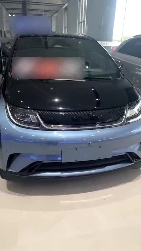 比亚迪 海豚 2021款 401km 骑士版讲解2