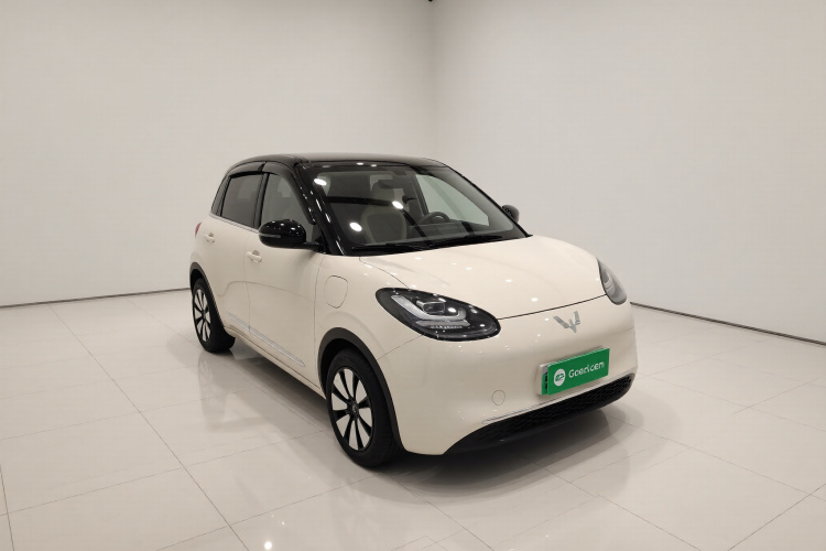 五菱汽车 五菱缤果 2024款 333km 悦享款车身外观3