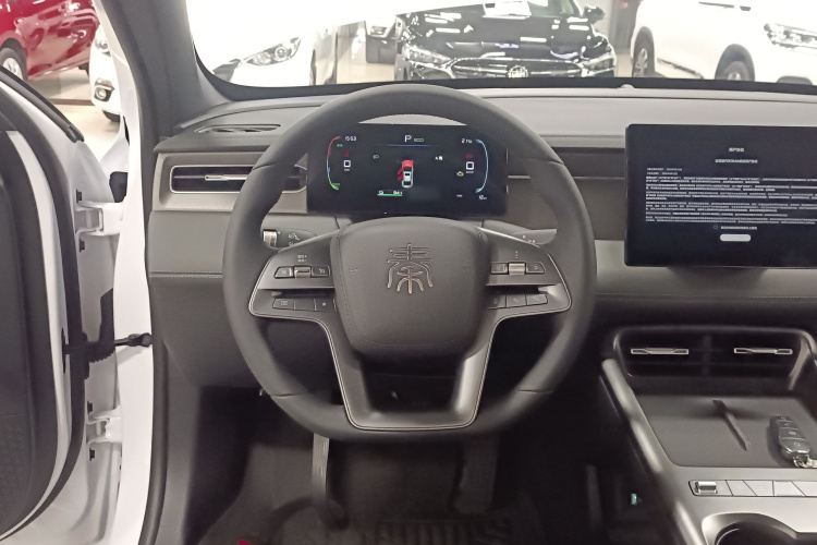 比亚迪 秦PLUS 2025款 DM-i 智驾版 128KM进取型局部细节13