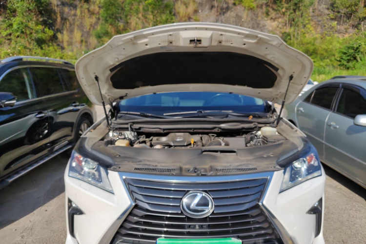 雷克萨斯RX 2016款 300 两驱精英版 国V局部细节24