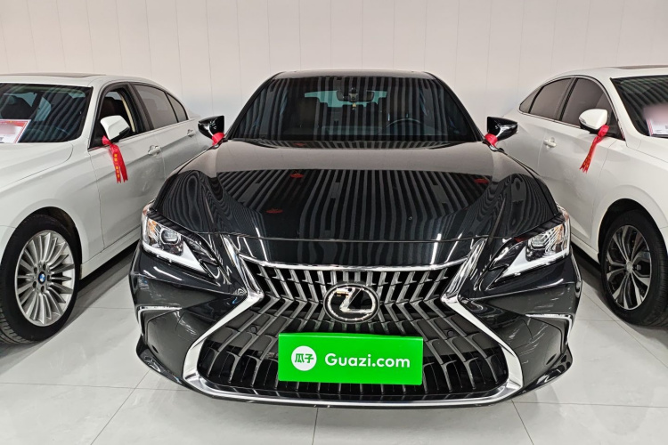 雷克萨斯ES 2023款 200 卓越版车身外观6001