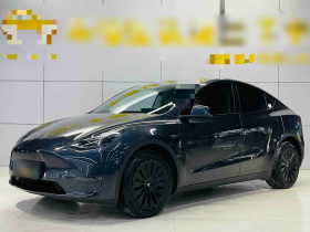 特斯拉 Model Y 2024款 长续航全轮驱动版