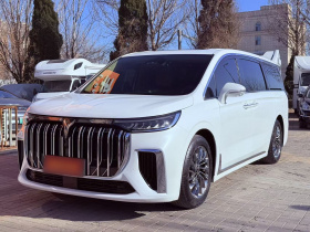 岚图汽车 岚图梦想家 2022款 低碳版 梦+智享包