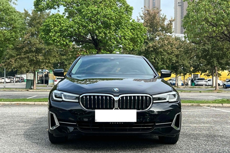 宝马5系 2022款 改款二 530Li 尊享型 豪华套装局部细节36