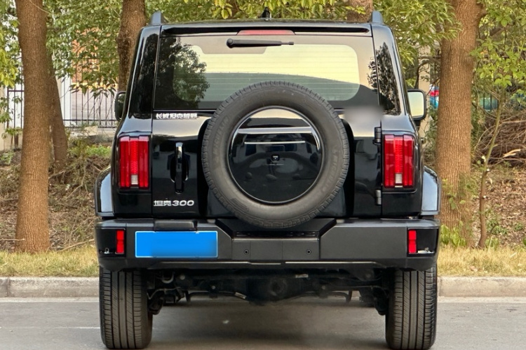 坦克300 2024款 2.0T 穿越者车身外观6006