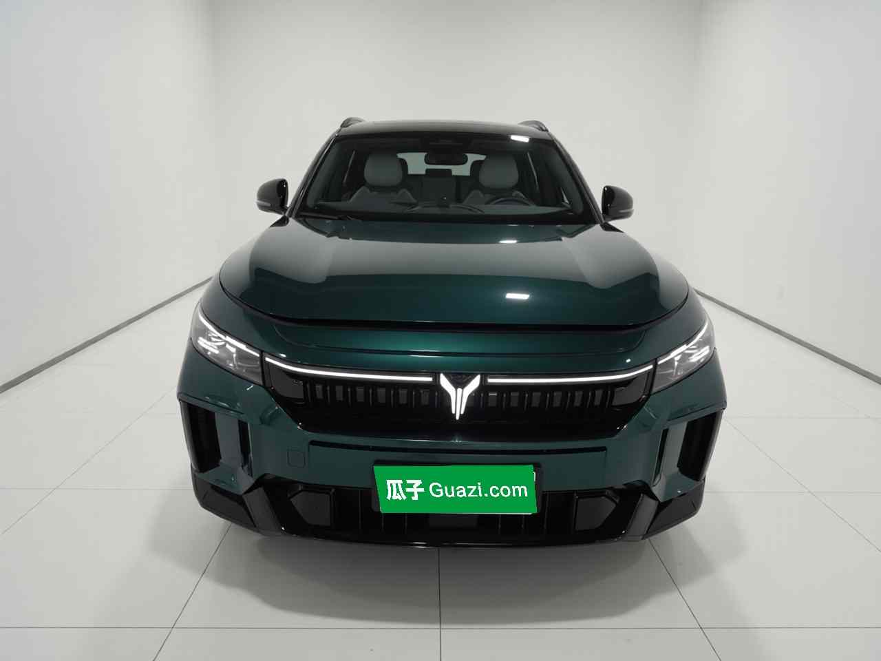 岚图汽车 岚图FREE 2025款 318 318km 后驱环游版(1)