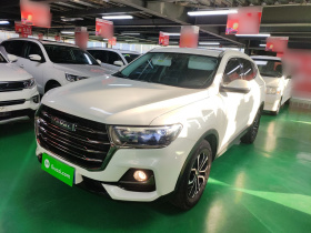 哈弗H6 2021款 国潮版 1.5T 自动都市版