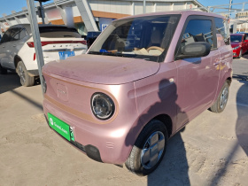 吉利银河 2024款 熊猫mini 200km 耐力熊