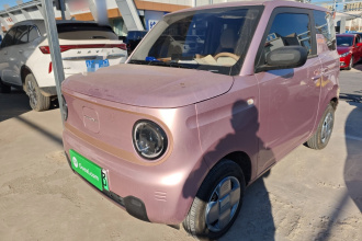 吉利银河 2024款 熊猫mini 200km 耐力熊