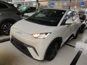 比亚迪 海鸥 2025款 305km 活力版