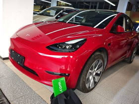 特斯拉 Model Y 2021款 长续航全轮驱动版 3D7