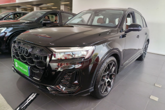 奥迪Q7 2024款 45 TFSI quattro S line黑武士型