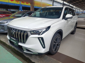 广汽传祺 传祺GS4 PLUS 2023款 390T 自动星系版