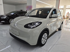 五菱汽车 五菱缤果 2023款 203km 轻享款