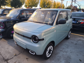 吉利银河 熊猫 2025款 210km 元气熊