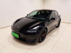 特斯拉 Model 3 2021款 Performance高性能全轮驱动版