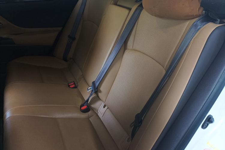 雷克萨斯ES 2018款 260 卓越版 国V中控内饰21