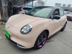 欧拉好猫 2022款 400km标准续航 豪华型 磷酸铁锂